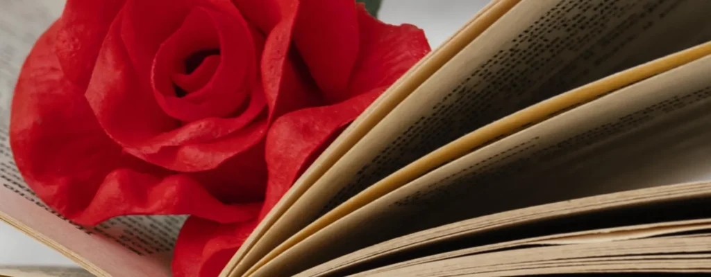 Mi experiencia como escritora